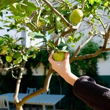 Διαμέρισμα Center Family With Courtyard
